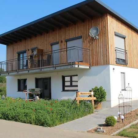 Ferienwohnungen "Blumenwiese" Дилинген ан дер Донау Екстериор снимка