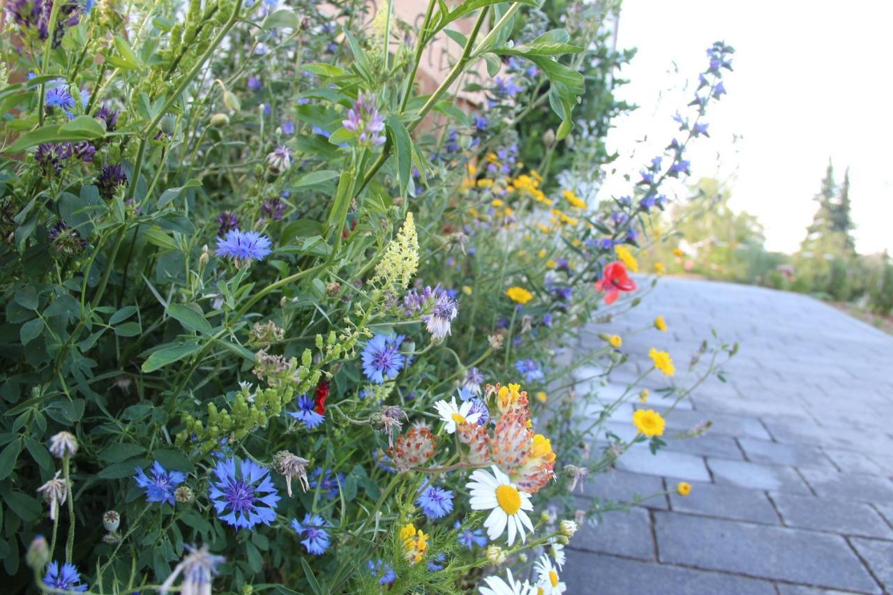 Ferienwohnungen "Blumenwiese" Дилинген ан дер Донау Екстериор снимка