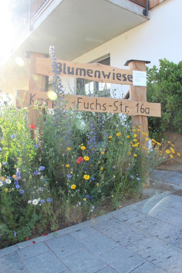 Ferienwohnungen "Blumenwiese" Дилинген ан дер Донау Екстериор снимка